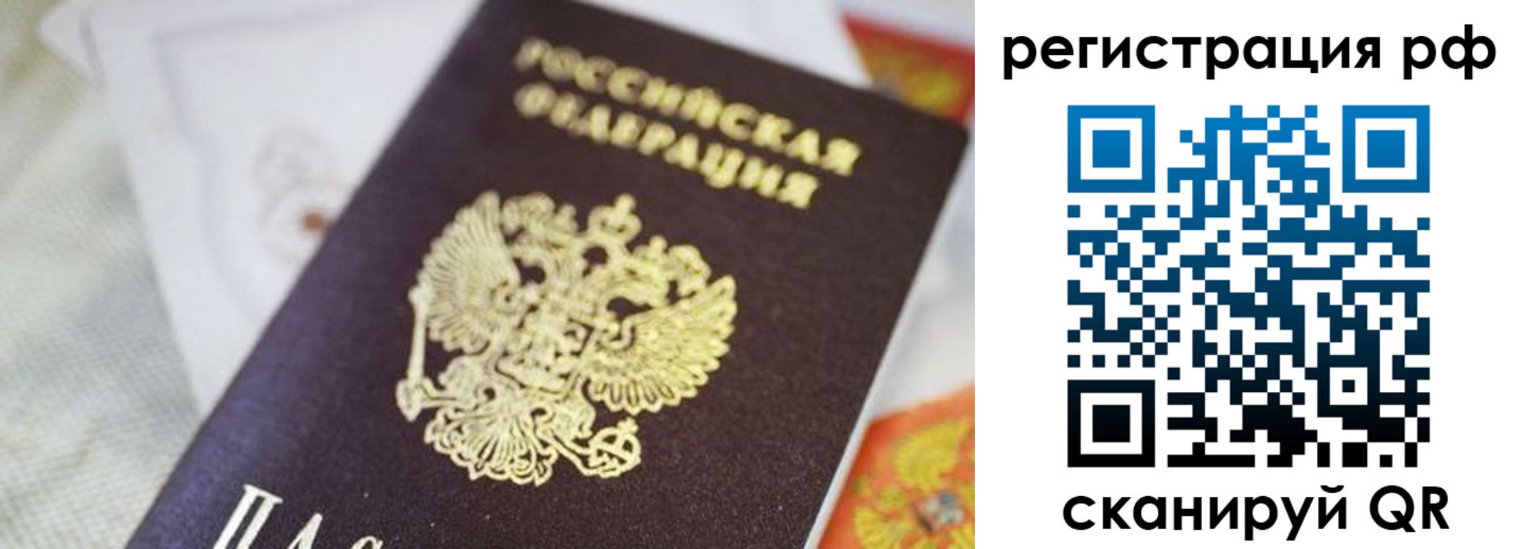прописка гарантия в Сальске